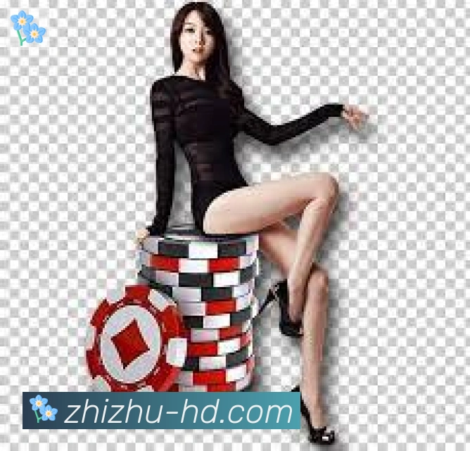 互动解说服务